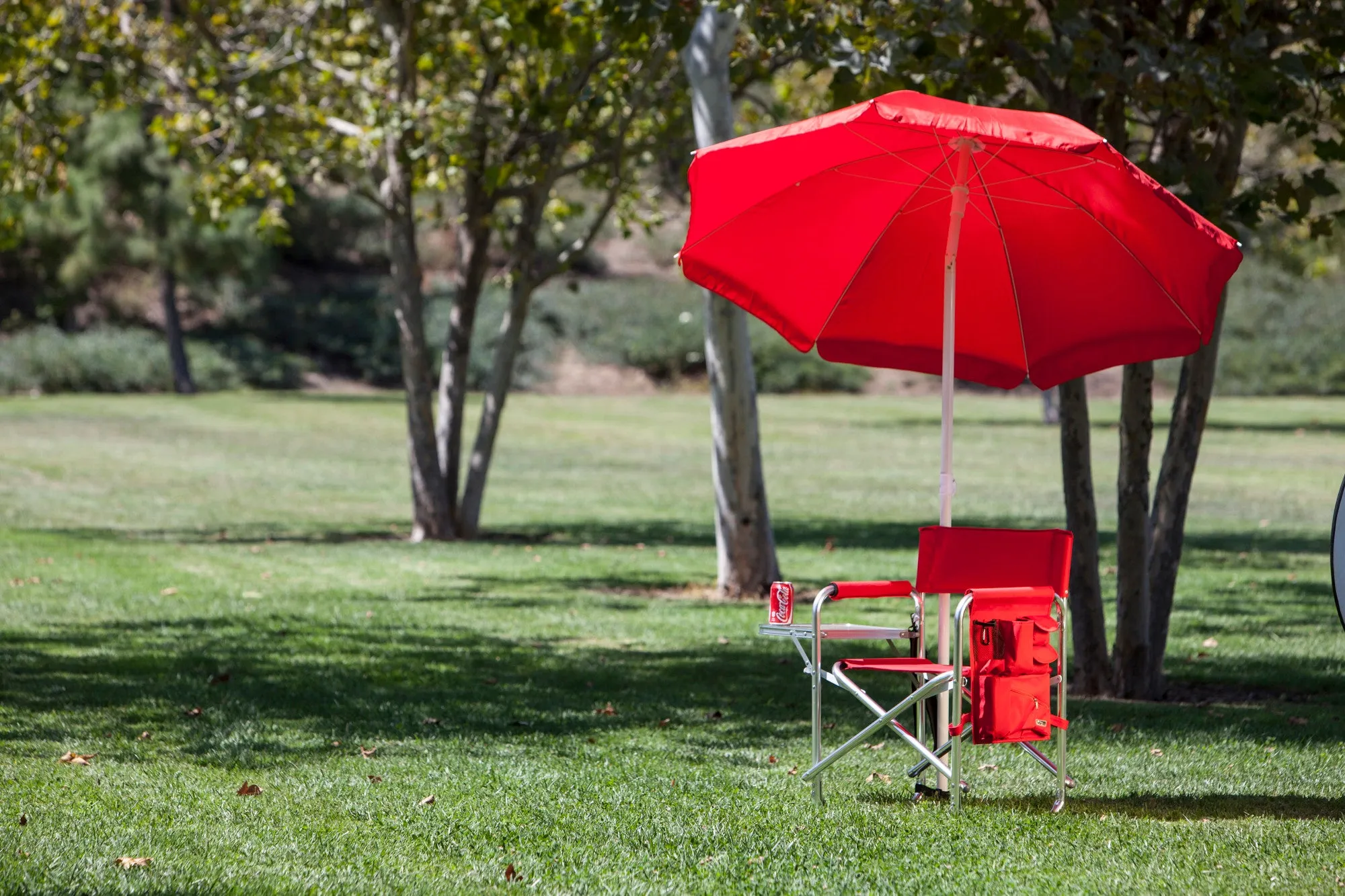 Arizona Cardinals - Sports Chair