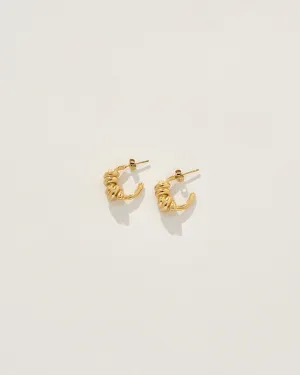 Gael Earrings in Gold