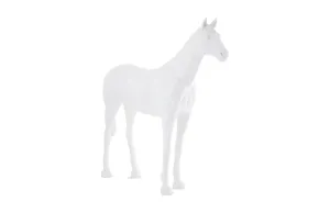 Life Size Horse White